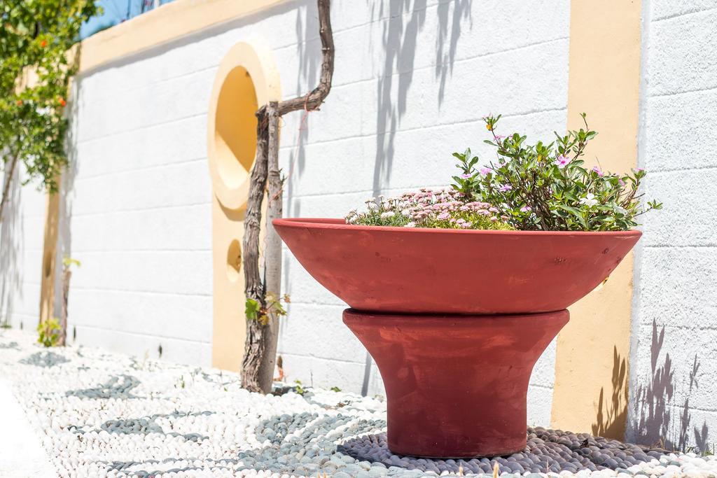 ファリラキMosaic Gardensアパートメント エクステリア 写真